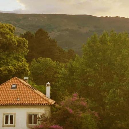 Casa Das Essencias, Quinta De Santo Antonio Covilhã Екстериор снимка